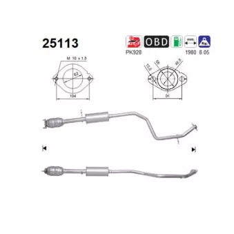 Catalyseur AS 25113