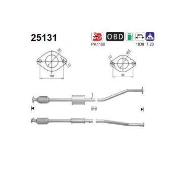 Catalyseur AS 25131
