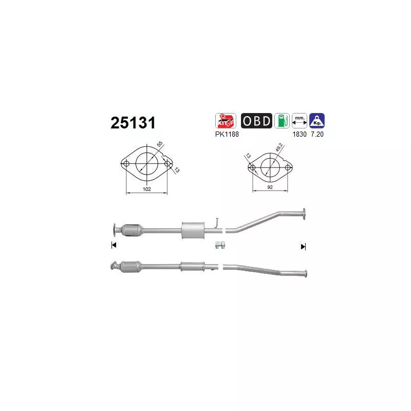 Catalyseur AS 25131
