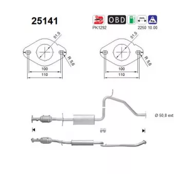 Catalyseur AS 25141