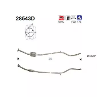 Catalyseur AS 28543D