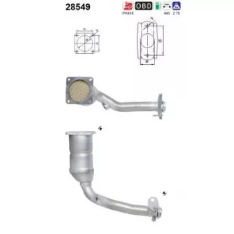 Catalyseur AS 28549