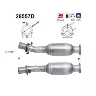 Catalyseur AS 28557D