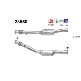 Catalyseur AS 28560