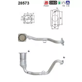 Catalyseur AS 28573