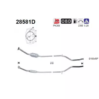 Catalyseur AS 28581D