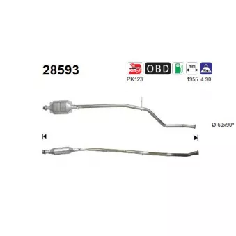 Catalyseur AS 28593