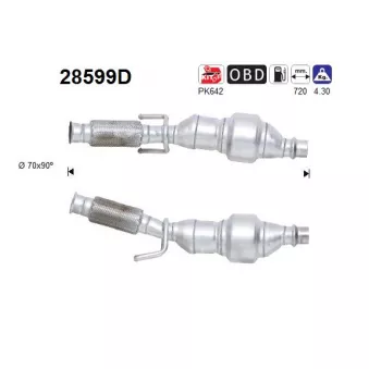 Catalyseur AS 28599D