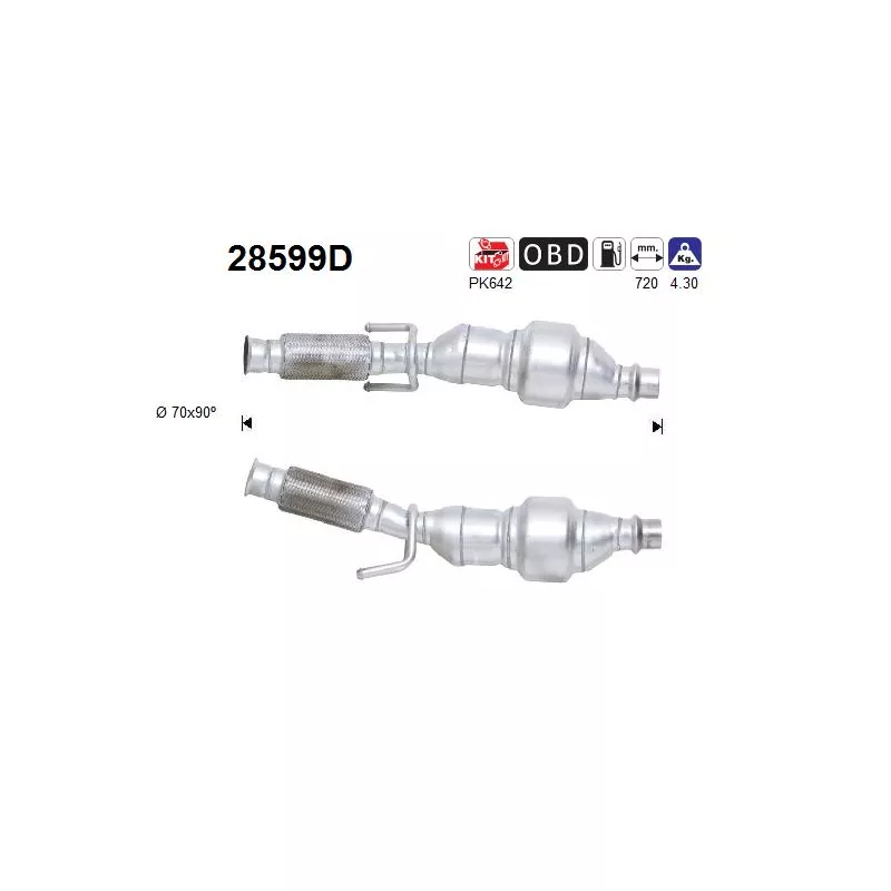 Catalyseur AS 28599D