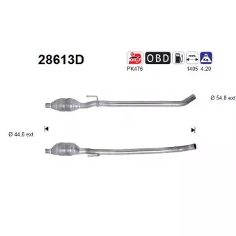 Catalyseur AS 28613D