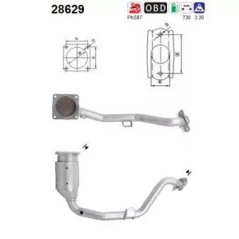 Catalyseur AS 28629