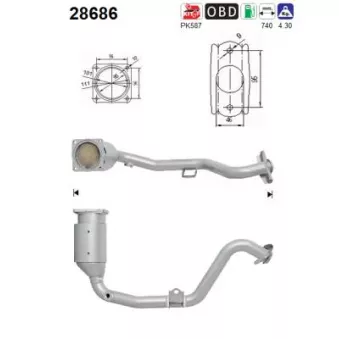 Catalyseur AS 28686