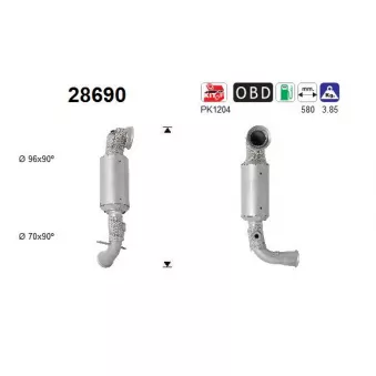 Catalyseur AS 28690