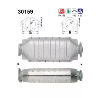 Catalyseur AS 30159