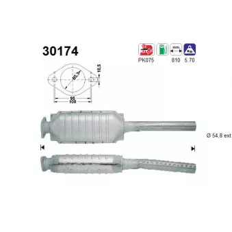 Catalyseur AS 30174