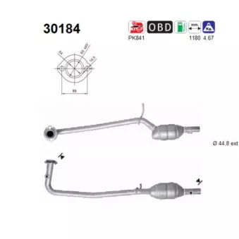 Catalyseur AS 30184
