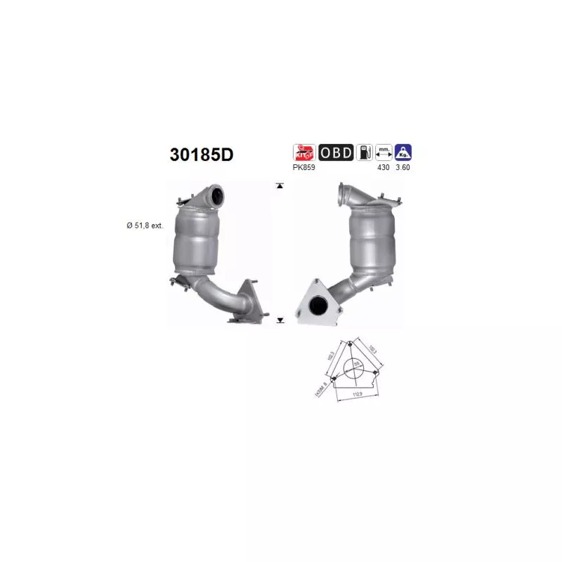 Catalyseur AS 30185D
