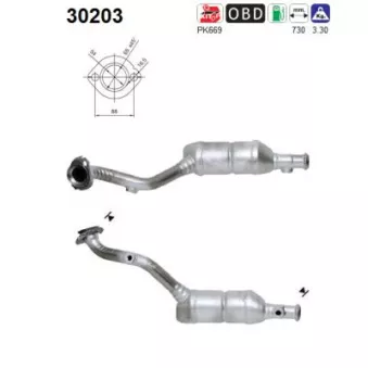 Catalyseur AS 30203