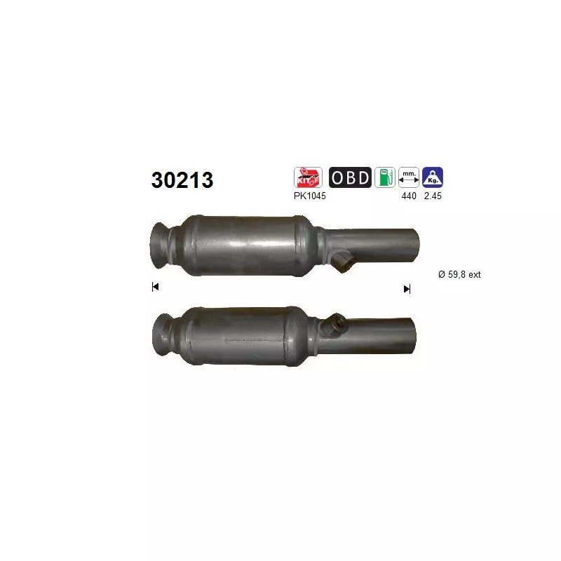 Catalyseur AS 30213