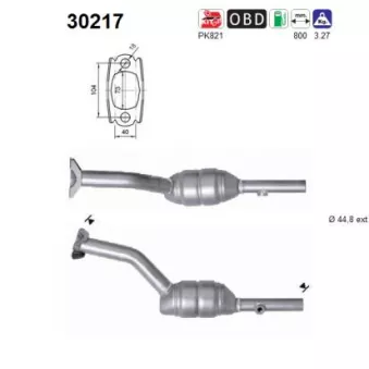 Catalyseur AS 30217