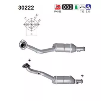 Catalyseur AS 30222