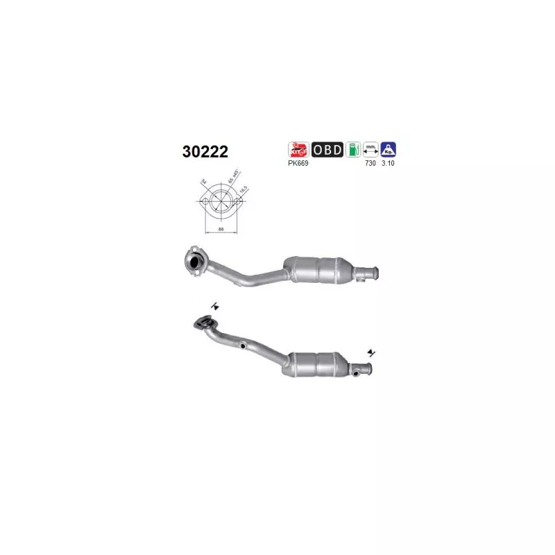 Catalyseur AS 30222
