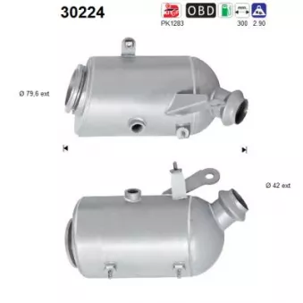 Catalyseur AS 30224