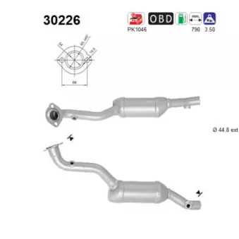 Catalyseur AS 30226