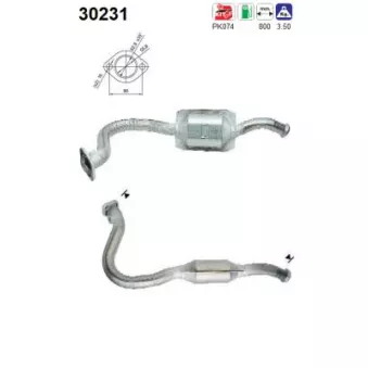 Catalyseur AS 30231