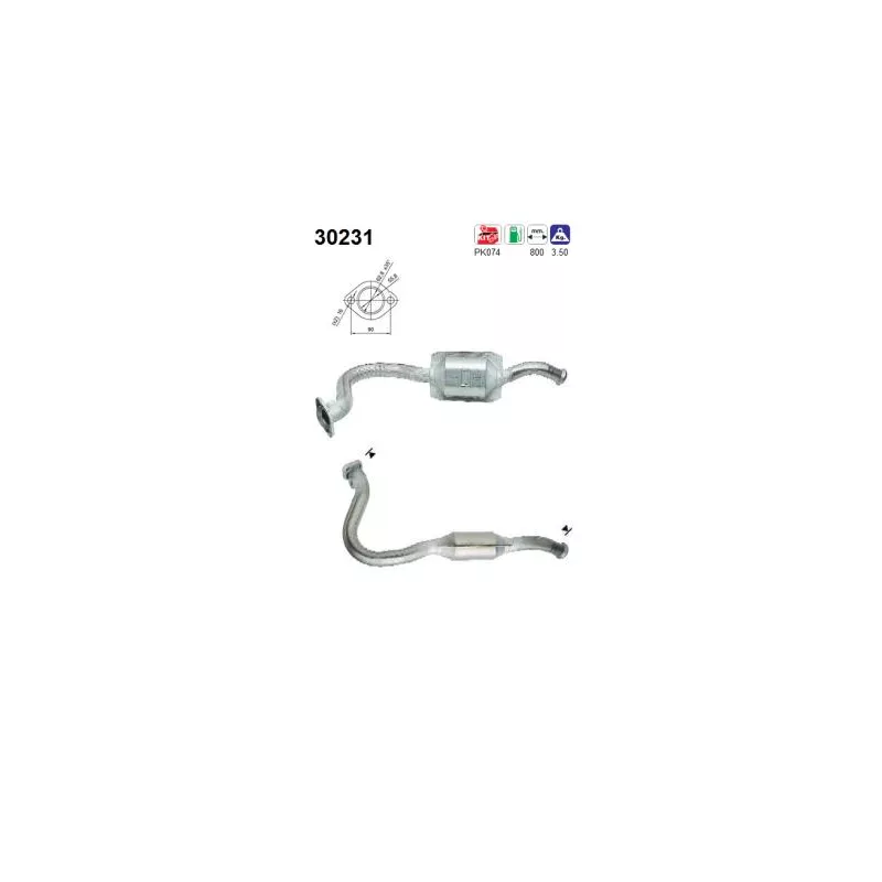 Catalyseur AS 30231