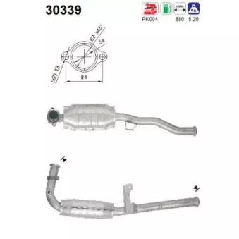 Catalyseur AS 30339