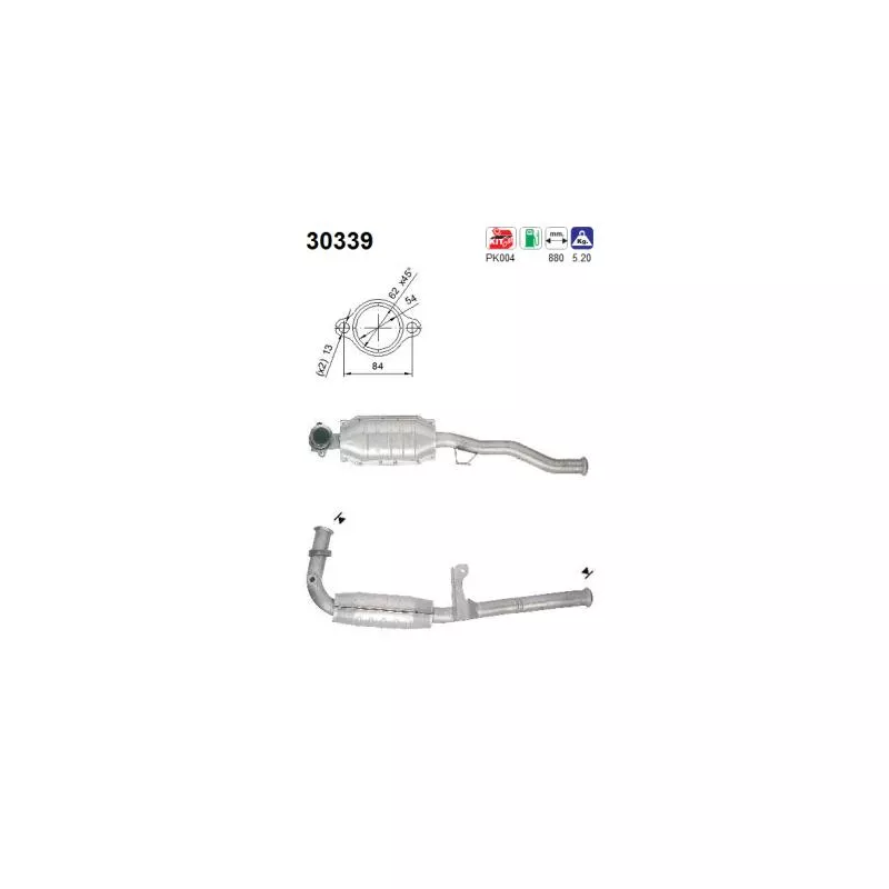 Catalyseur AS 30339