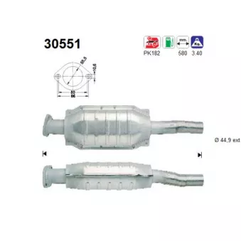 Catalyseur AS 30551