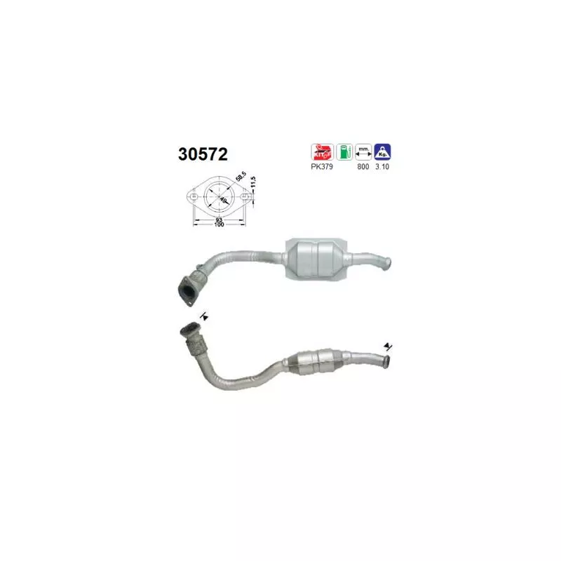 Catalyseur AS 30572