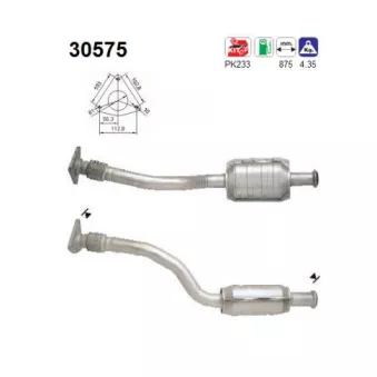 Catalyseur AS 30575