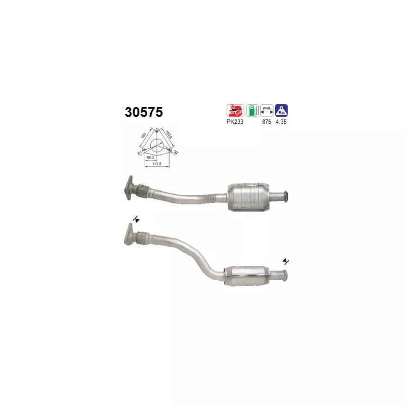 Catalyseur AS 30575
