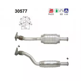 Catalyseur AS 30577