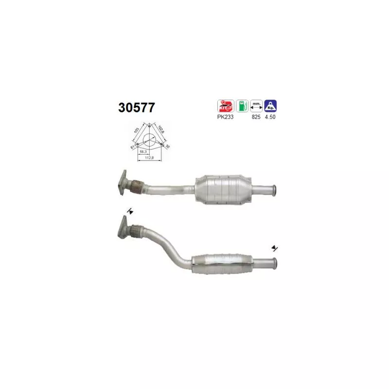 Catalyseur AS 30577