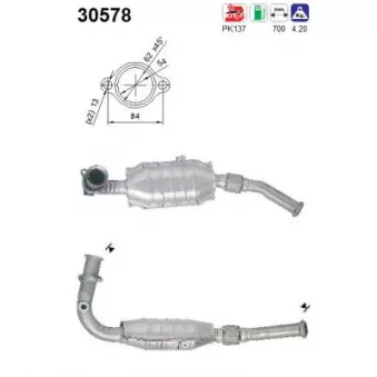 Catalyseur AS 30578