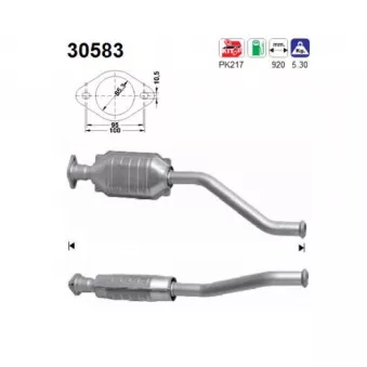 Catalyseur AS 30583