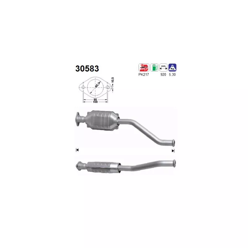 Catalyseur AS 30583
