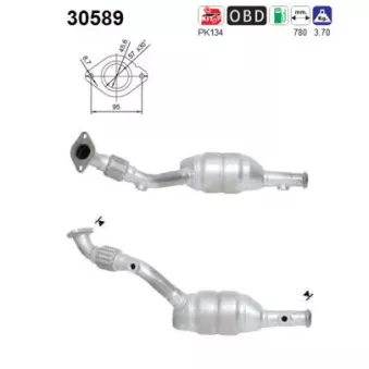 Catalyseur AS 30589