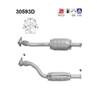 Catalyseur AS 30593D