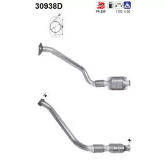 Catalyseur AS 30938D