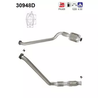 Catalyseur AS 30948D