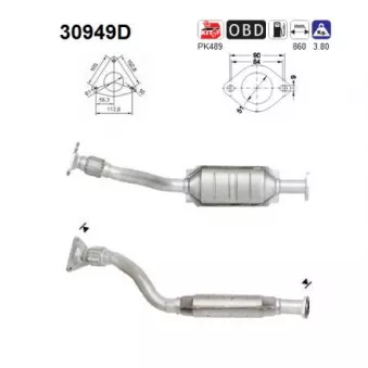 Catalyseur AS 30949D