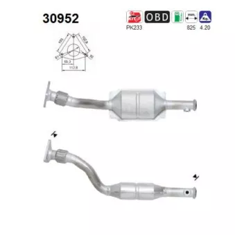 Catalyseur AS 30952