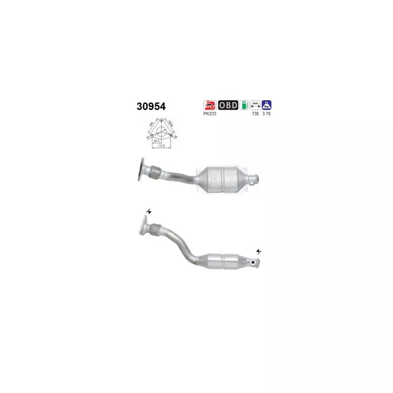 Catalyseur AS 30954