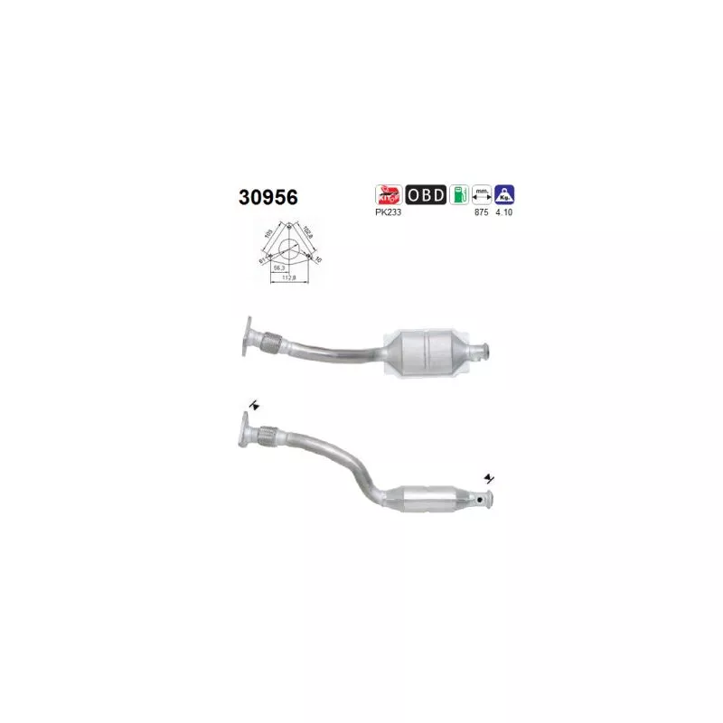 Catalyseur AS 30956