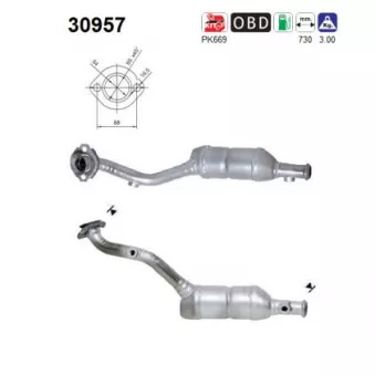 Catalyseur AS 30957